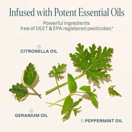 Recarga de Repelente de Mosquitos Cliganic (6 Pellets) para Pulseras Cliganic - Natural, Sin DEET, Infusionado con Aceites Esenciales - imagen 4