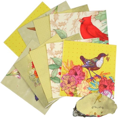 Paquete de 40 servilletas de papel decorativas de 6.5 pulgadas con diseño de carbonero, ideales para el Día de las Madres y todas las estaciones. - imagen 5