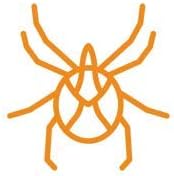 Repelente de Insectos BUGGINS con 25% DEET y Fragancia Fresca y Limpia - imagen 3
