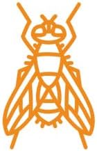 Repelente de Insectos BUGGINS con 25% DEET y Fragancia Fresca y Limpia - imagen 4