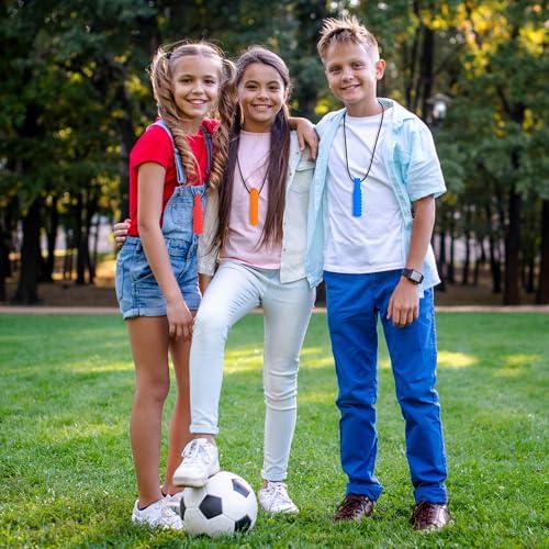 Collares Masticables Sensoriales para Niños Autistas, 6 Paquetes de Juguetes de Silicón Grado Alimenticio para Autismo, TDAH, Ansiedad y Necesidades - imagen 3