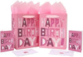 Set de 2 Bolsas de Regalo de Cumpleaños Rosa Medianas de 10.6'' con Tarjetas y Papel de Seda para Mujeres, Niñas y Adolescentes, Diseño de Caricatura - imagen 1