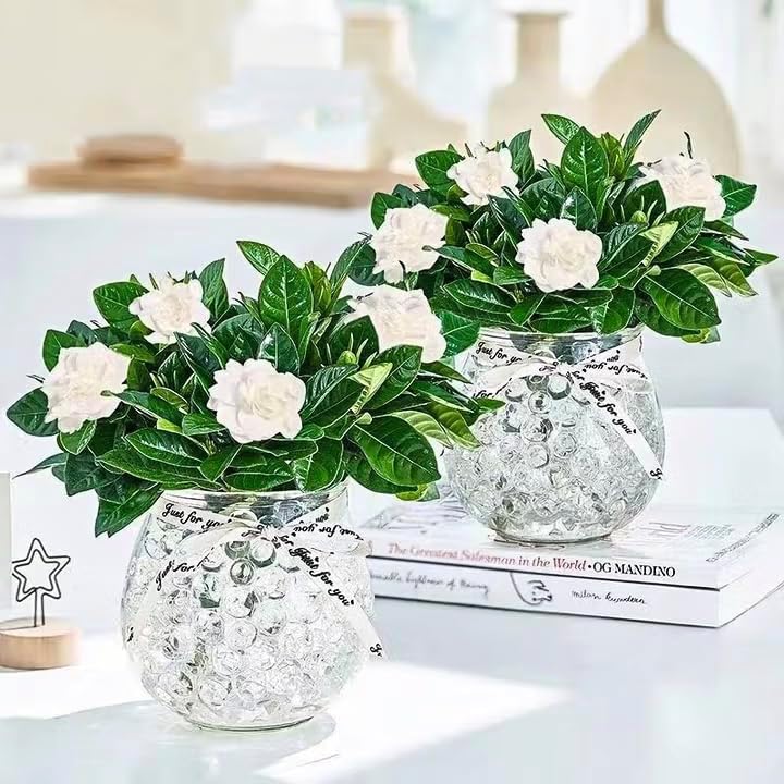Cristales Poliméricos Transparentes Medianos para Decoración - DIY para Adultos, Diseño Floral y Iluminación en Salas Sensoriales - imagen 5