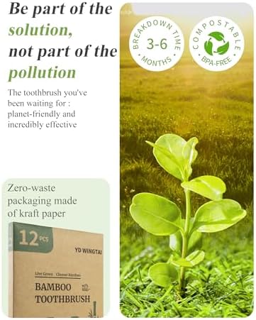 Cepillos de Dientes de Bambú Biodegradables YD WINGTAI 12 Piezas, Cepillos de Madera Naturales, Tamaño de Viaje, con Carbón Orgánico - imagen 6