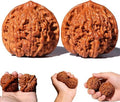 Pelotas de Masaje de Nueces Wenwan Naturales | 1 Par de 1.8 Nueces Chinas para Alivio del Estrés y Ansiedad | Pelotas de Reflexología para Terapia de - imagen 1