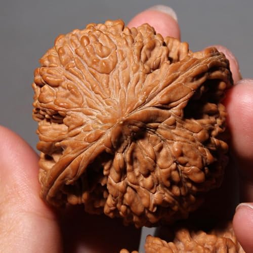 Pelotas de Masaje de Nueces Wenwan Naturales | 1 Par de 1.8 Nueces Chinas para Alivio del Estrés y Ansiedad | Pelotas de Reflexología para Terapia de - imagen 7