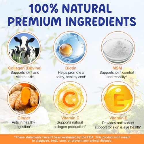 Colágeno Líquido para Perros 60ml, Gotas para Articulaciones, Piel y Pelaje, Suplemento para Alivio de Piel Irritada y Salud Digestiva, Sabor a Tocino - imagen 3
