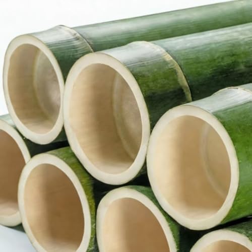 Palillos de Dientes de Bambú Natural Wzrvmox, Palillos de Madera (Paquete de 1) - imagen 7
