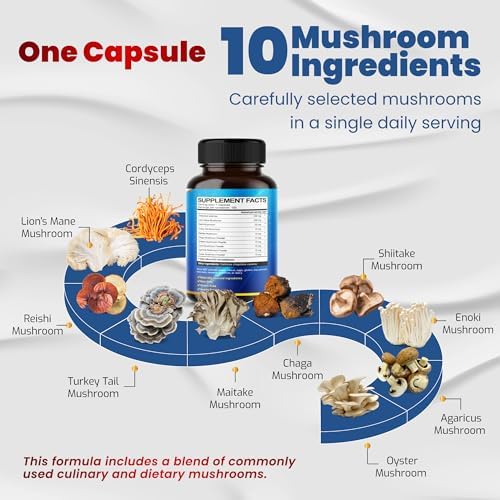 Suplemento de Hongos 10 en 1 de Alta Potencia - Melena de León, Cordyceps, Reishi - Suplementos para la Memoria y Concentración ** Suministro para 5 - imagen 2