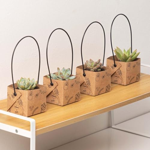 40 Piezas de Bolsas para Suculentas (para macetas de 2 pulgadas), Cajas de Kraft Mini con Asa para Bodas, Baby Shower y Fiestas de Suculentas - imagen 3