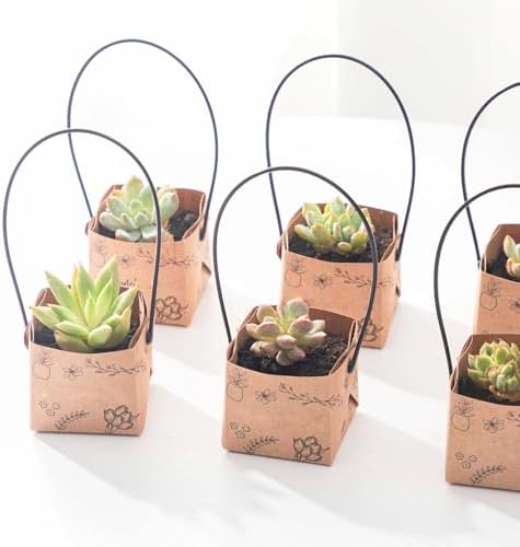 40 Piezas de Bolsas para Suculentas (para macetas de 2 pulgadas), Cajas de Kraft Mini con Asa para Bodas, Baby Shower y Fiestas de Suculentas - imagen 4