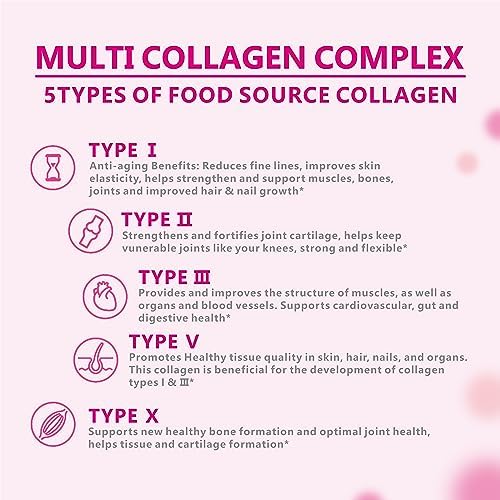 Polvo de Péptidos de Colágeno OMOGS con Prebióticos y Extracto de Arándano - Colágeno Hidrolizado para el Cabello, Piel, Uñas, Huesos y Digestión, - imagen 2