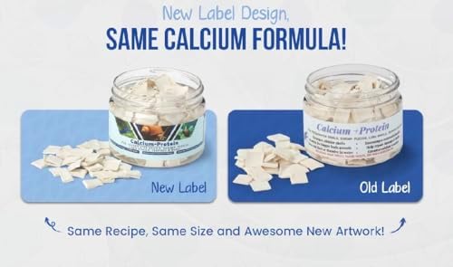 KatsAquatics Calcio + Proteína para Conchas Fuertes y Mudas Saludables, 100% Natural, No Se Disuelve en Agua, Ideal para Camarones, Caracoles y - imagen 2