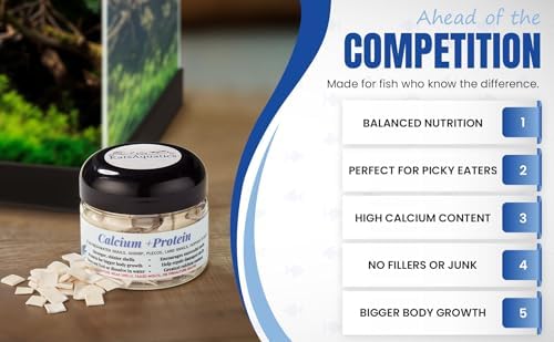 KatsAquatics Calcio + Proteína para Conchas Fuertes y Mudas Saludables, 100% Natural, No Se Disuelve en Agua, Ideal para Camarones, Caracoles y - imagen 4