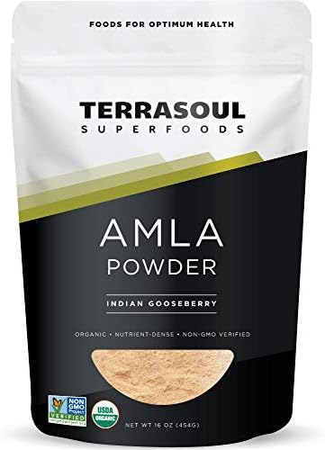 Terrasoul Superfoods Polvo de Amla Orgánico (Amalaki) de 16 Oz - Rico en Antioxidantes y Vitamina C | Apoya el Sistema Inmunológico - imagen 1