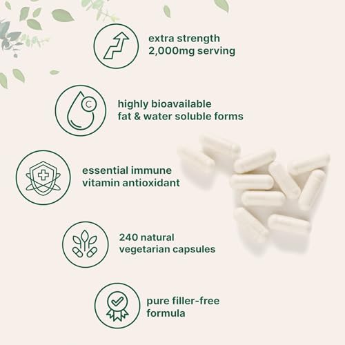 Vitamina C Pura 2,000mg, 240 Cápsulas Veganas | Alta Biodisponibilidad, Soluble en Grasa y Agua | Potencia Máxima | Antioxidante y Soporte - imagen 3