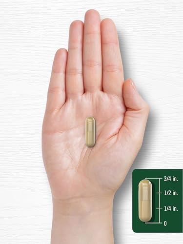 Cápsulas de Bacopa Monnieri Carlyle | 180 Cápsulas | Suplemento Libre de Gluten - imagen 7