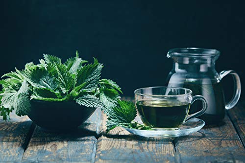 Té de Ortiga - 8Oz (RECOLECCIÓN REAL SILVESTRE) | 100% Orgánico Certificado por USDA | Hoja Suelta (Urtica Dioica) Cortada y Tamizada - imagen 7