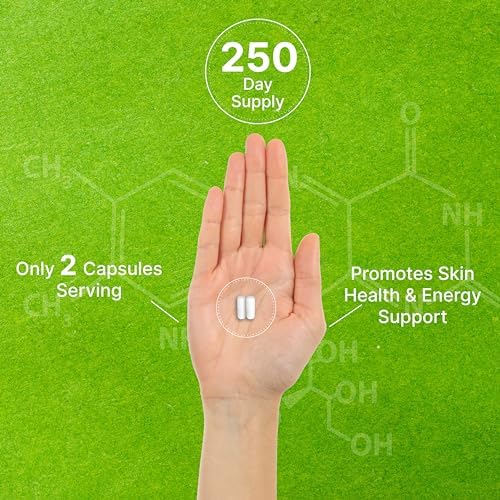 Nicotinamida 1,000mg por Porción – 500 Cápsulas de Vitamina B3, Niacina Sin Enrojecimiento, Apoya la Piel Saludable y Producción de Energía – No GMO - imagen 5