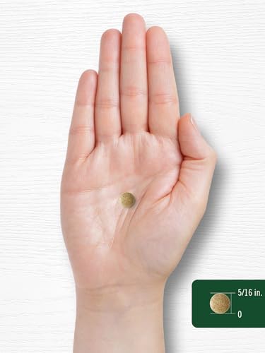 Carlyle Ginkgo Biloba | 400 Tabletas | Suplemento Herbal Sin OGM y Libre de Gluten - imagen 8