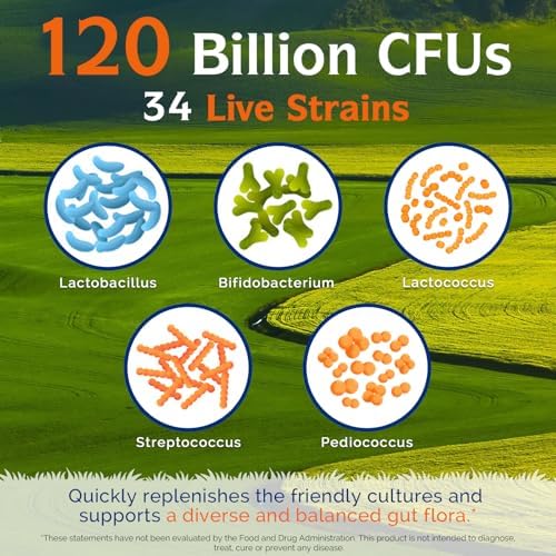 Probioticos Innate Vitality 120 Mil Millones CFUs para Hombres y Mujeres, 34 Cepas con Prebióticos y Enzimas Digestivas, Salud Inmunológica y - imagen 3