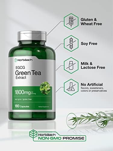 Horbäach Extracto de Té Verde EGCG en Cápsulas | 180 Cápsulas | Máxima Potencia | Suplemento Sin OGM y Libre de Gluten - imagen 4