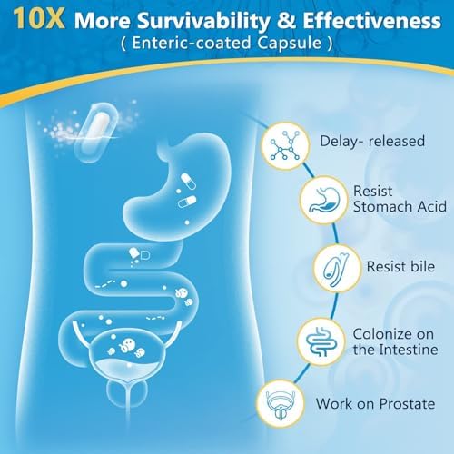 Probióticos para Hombres con Enzimas Digestivas y Prebióticos, 100 Mil Millones de CFUs, con Palma Enana y Arándano para la Salud Prostática y del - imagen 5