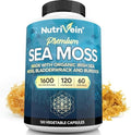 Nutrivein Musgo Marino Orgánico 1600mg con Bladderwrack y Bardana - 120 Cápsulas para Adultos - Superalimento Prebiótico - Salud Inmunológica y - imagen 1