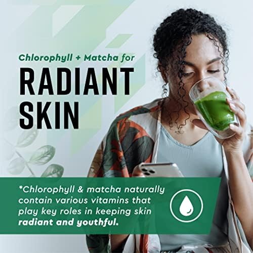 Gotas Líquidas de Matcha y Clorofila 360 Nutrition con L-Theanine, Suplemento Vegano y Sin Gluten, Apoya la Salud Digestiva y la Piel Radiante, 60 - imagen 3