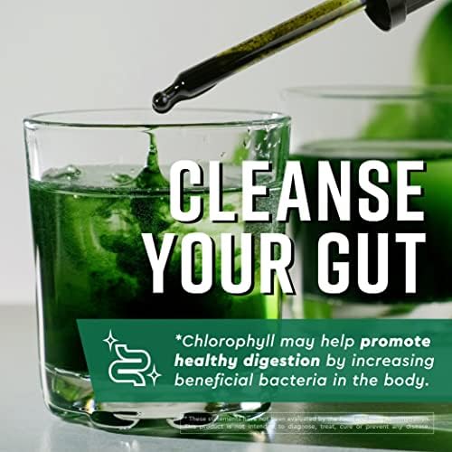 Gotas Líquidas de Matcha y Clorofila 360 Nutrition con L-Theanine, Suplemento Vegano y Sin Gluten, Apoya la Salud Digestiva y la Piel Radiante, 60 - imagen 5