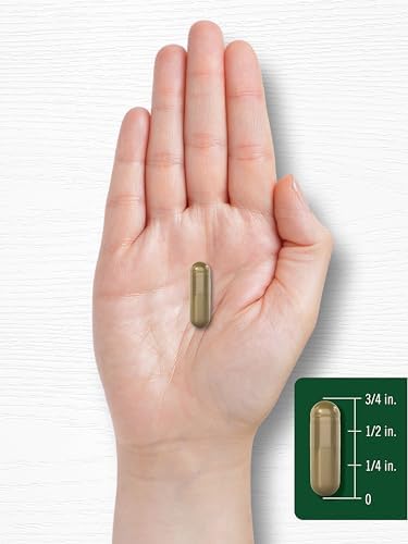 Cápsulas de Ginkgo Biloba Carlyle | 200 Cápsulas | Con Extracto de Bacopa | Suplemento Herbal Extra Fuerte, Sin OGM y Sin Gluten - imagen 8