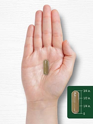 Extracto de Raíz de Diente de León Carlyle | 300 Cápsulas | Suplemento Herbal | Taraxacum Officinale | Sin OGM y Libre de Gluten - imagen 7