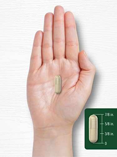 Cápsulas de Raíz de Maca Carlyle para Mujeres y Hombres | 180 Contenido | Extracto de Alta Potencia | Suplemento No Transgénico y Libre de Gluten - imagen 7