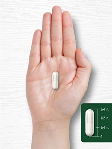 Cápsulas de Extracto de Semilla de Apio Carlyle | 240 Contenido | Suplemento Herbáceo Tradicional | Fórmula Sin OGM y Libre de Gluten - imagen 7