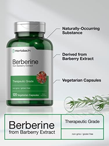 Suplemento de Berberina HCL Horbaach | 500mg | 120 Cápsulas | Extracto de Agracejo | Grado Terapéutico | Vegetariano, No Transgénico, Sin Gluten - imagen 3