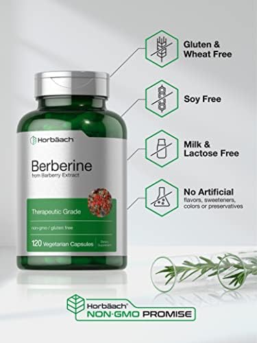 Suplemento de Berberina HCL Horbaach | 500mg | 120 Cápsulas | Extracto de Agracejo | Grado Terapéutico | Vegetariano, No Transgénico, Sin Gluten - imagen 4