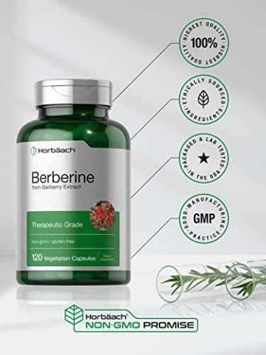 Suplemento de Berberina HCL Horbaach | 500mg | 120 Cápsulas | Extracto de Agracejo | Grado Terapéutico | Vegetariano, No Transgénico, Sin Gluten - imagen 5