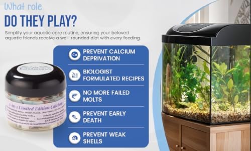 KatsAquatics Edición Ilimitada de Calcio - 3 Sabores en 1 Tarro, Para Conchas Fuertes y Mudas Saludables, 100% Natural, No Se Disuelve en Agua, Se - imagen 6