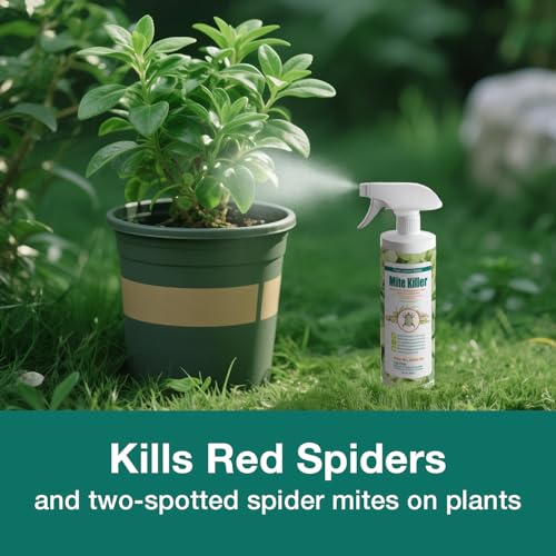 EcoVenger Spray Antipolvo 16 OZ, Elimina Ácaros, Sarna, Ácaros de Aves, Chiggers y Más, Ecológico y No Tóxico para Hogar, Plantas y Animales - imagen 6