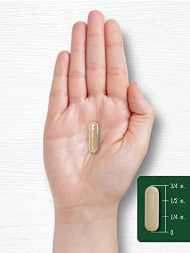 Extracto de Hoja de Ortiga de Carlyle | Suplemento de 300 Cápsulas | Fórmula Herbal | Sin OGM y Libre de Gluten - imagen 7