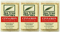 Palillos de Dientes Tea Tree Therapy, Canela, 100 Piezas (Paquete de 3) - imagen 1