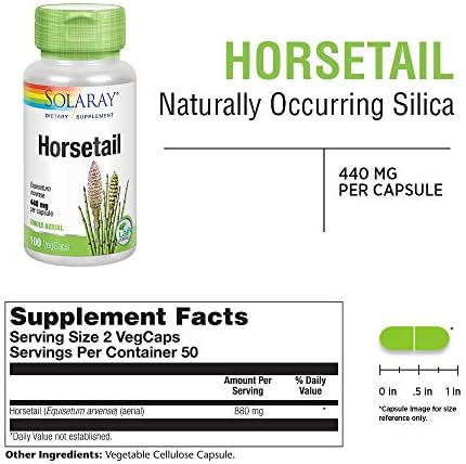 Solaray Cola de Caballo 880 mg - Suplemento de Cola de Caballo con Sílice Natural, Cápsulas Veganas para la Salud General - 100 Cápsulas - imagen 2
