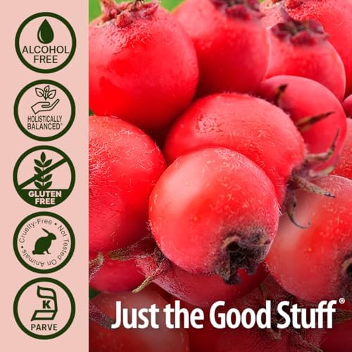 Bayas de Espino de Nature's Answer | Promueve la Circulación Saludable | Ayuda a Mantener Niveles de Colesterol Saludables | Sin Gluten, Sin Alcohol, - imagen 4