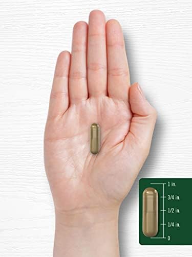 Cápsulas de Complejo de Ginseng Carlyle | 200 Contenido | Suplemento de Extracto de Raíz Herbal Tradicional | Sin OGM y Libre de Gluten - imagen 7