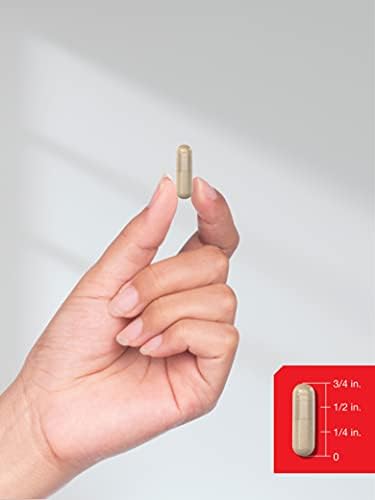 Horbäach - Tongkat Ali Longjack | 120 Cápsulas | Suplemento de Rendimiento Masculino | Extracto Herbal Concentrado | Sin GMO y Libre de Gluten - imagen 7