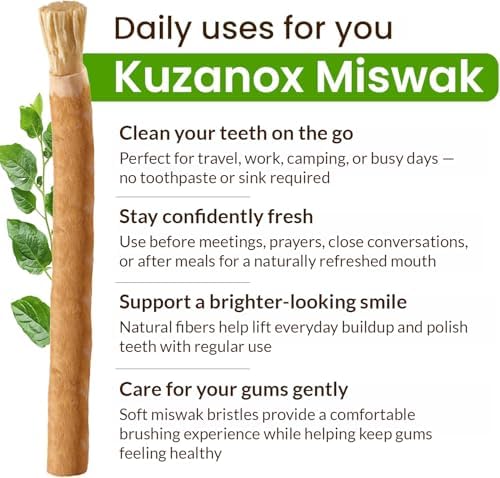 KUZANOX Palitos de Miswak para Dientes Paquete de 12 con Soporte - Cepillos Naturales para Aliento Fresco - Miswak Orgánico Salvadora Persica Sellado - imagen 2
