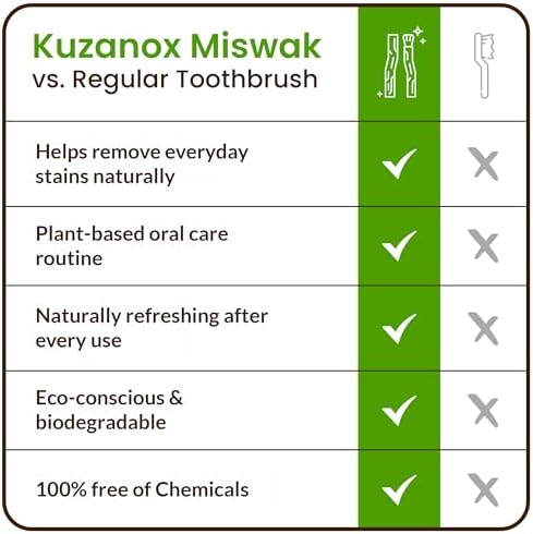 KUZANOX Palitos de Miswak para Dientes Paquete de 12 con Soporte - Cepillos Naturales para Aliento Fresco - Miswak Orgánico Salvadora Persica Sellado - imagen 5