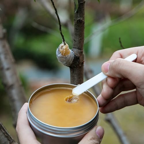 Set de Cera para Injertos Shupakul, Sellador de Heridas para Árboles con Cinta Selladora, Cera para Rosales, Frutas, Bonsáis y Arbustos - imagen 5