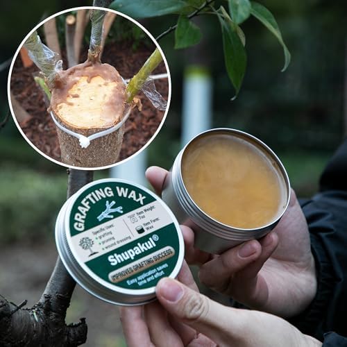 Set de Cera para Injertos Shupakul, Sellador de Heridas para Árboles con Cinta Selladora, Cera para Rosales, Frutas, Bonsáis y Arbustos - imagen 6
