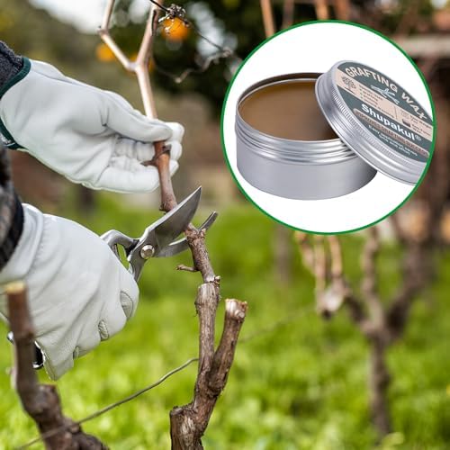 Set de Cera para Injertos Shupakul, Sellador de Heridas para Árboles con Cinta Selladora, Cera para Rosales, Frutas, Bonsáis y Arbustos - imagen 7